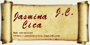 Jasmina Čiča vizit kartica